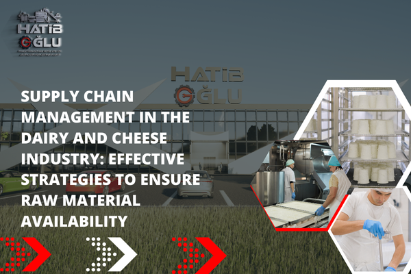 Supply Chain Management in the Dairy and Cheese Industry: Effective Strategies to Ensure Raw Material Availability